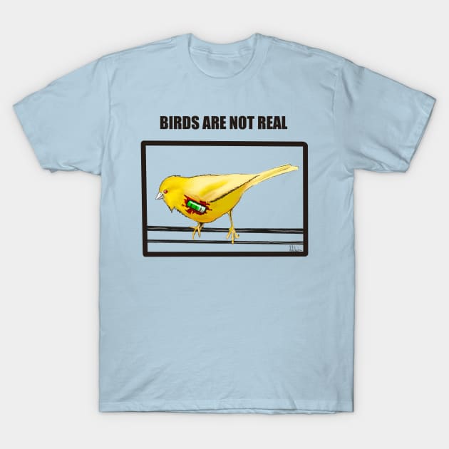 Birds Are Not Real T-Shirt by Lacklander Art Studio